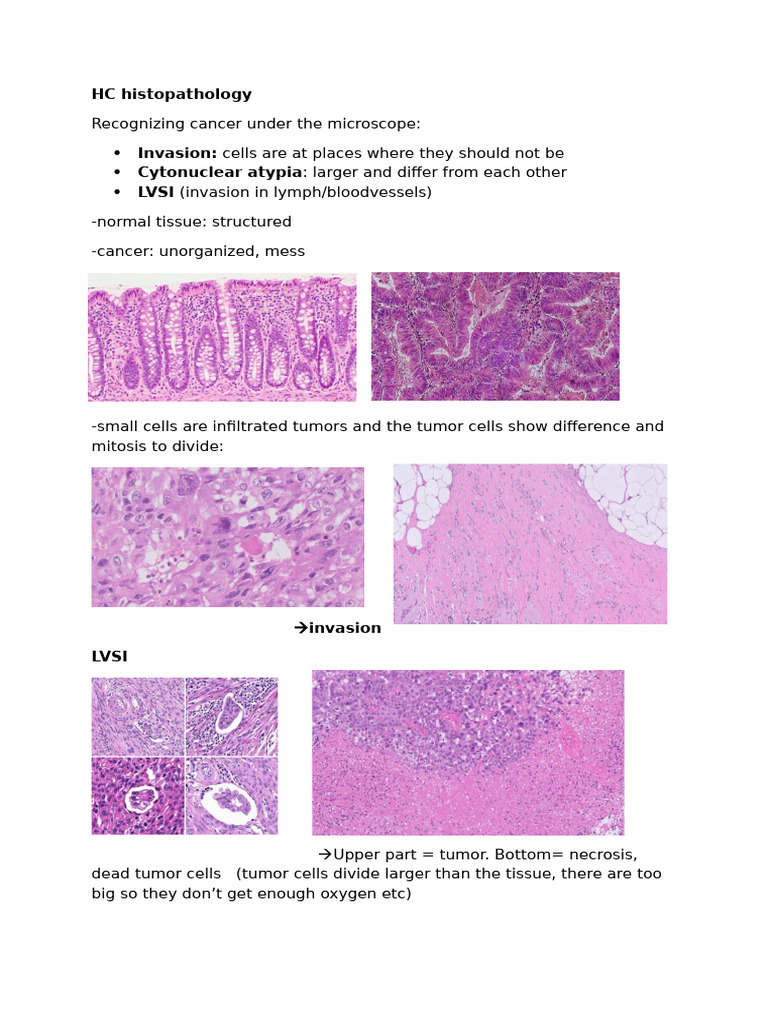 HC Histopathology, MD, Biomarks | PDF | Epidermal Growth Factor ...