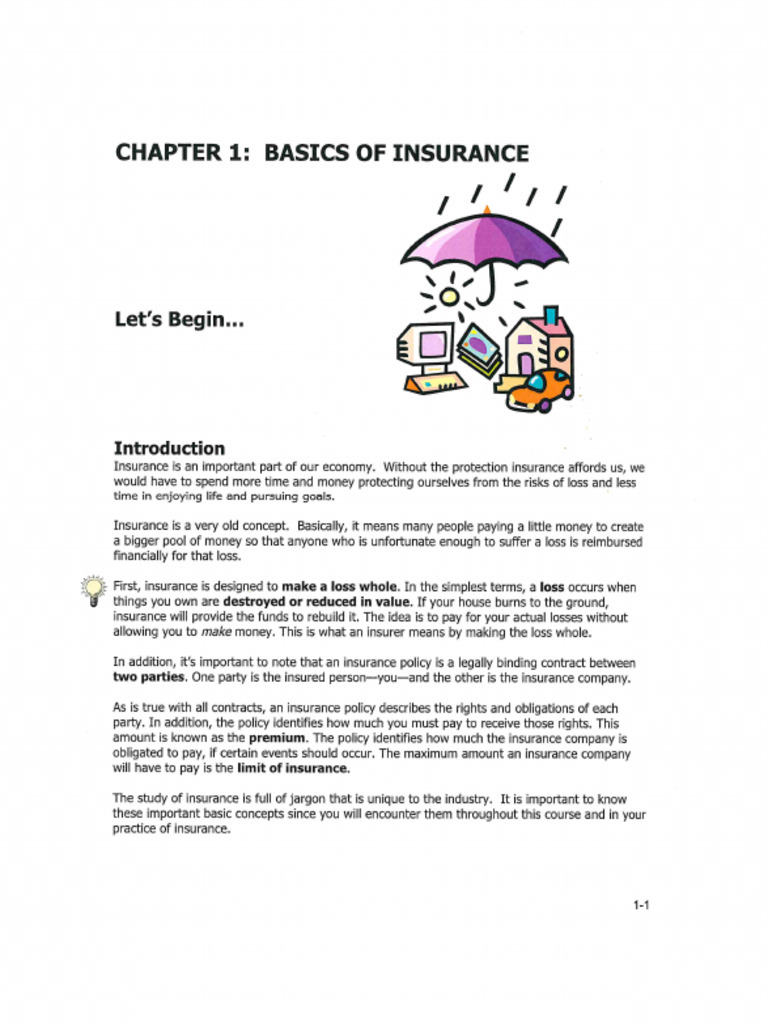 Insurance Overview | PDF