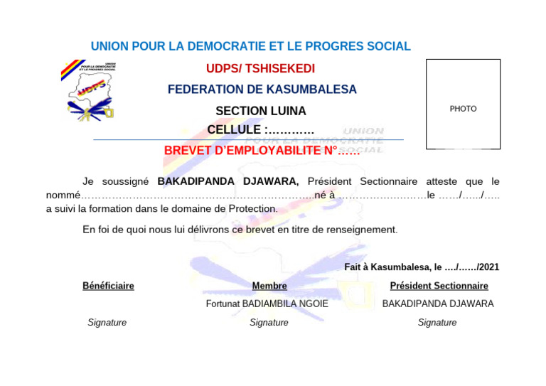 Brevet Udps Ok | PDF