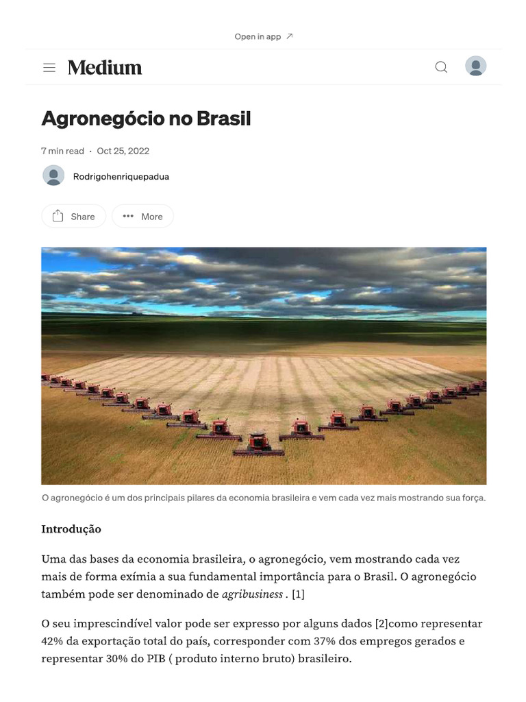 O Agronegócio No Brasil | PDF