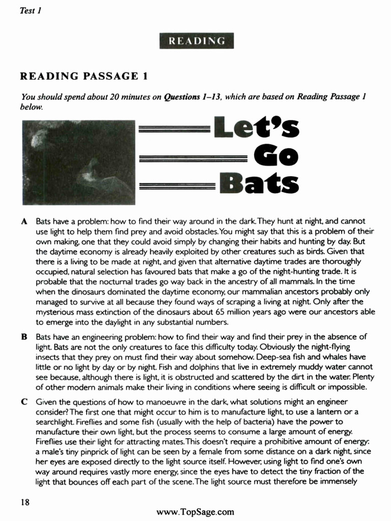 Test 1 - Cam 7 - Reading | PDF