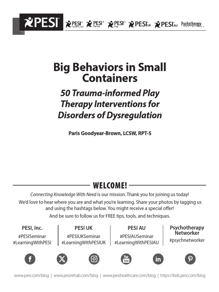 Manual Big Behaviors Small Containers | PDF | Play Therapy ...