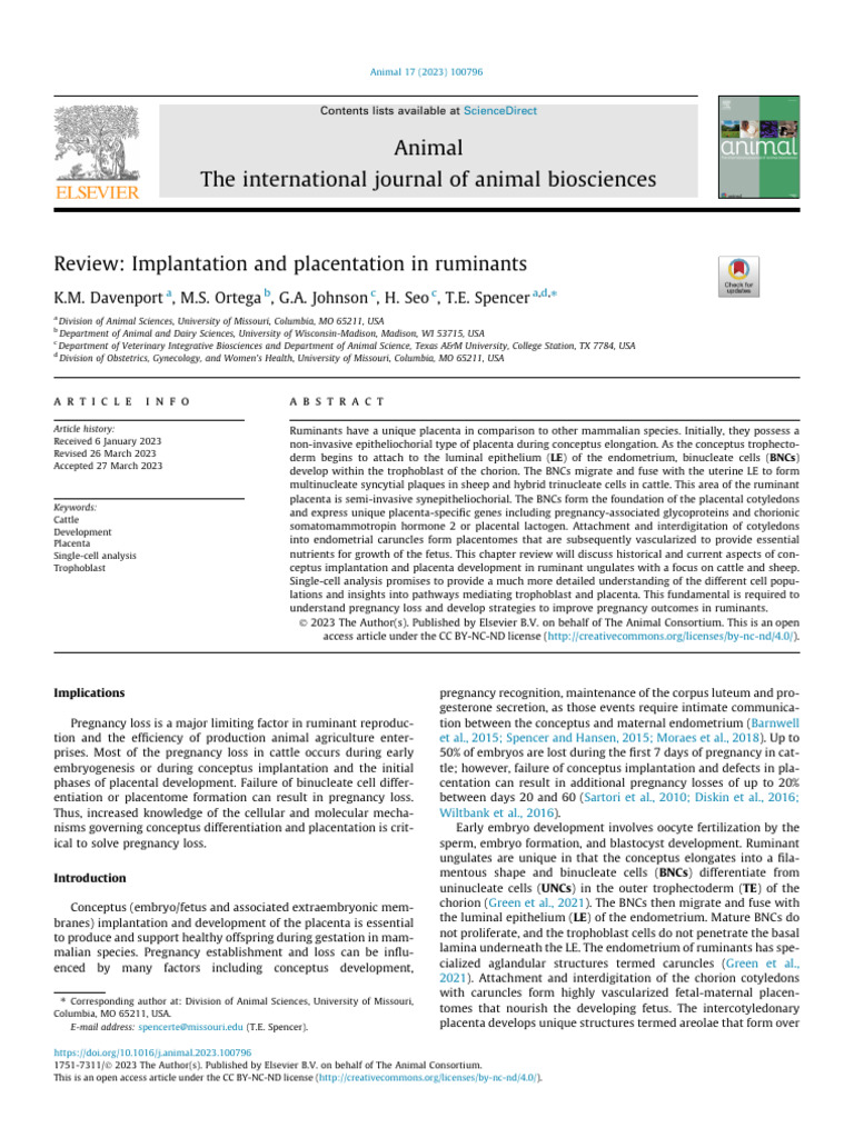 Review Implantation and Placentation in Rumin2 | PDF | Placenta | Anatomy
