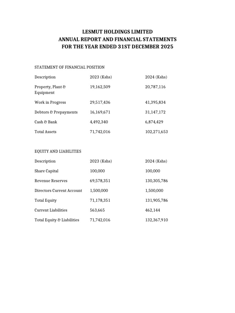 Clean Formatted Financials | PDF