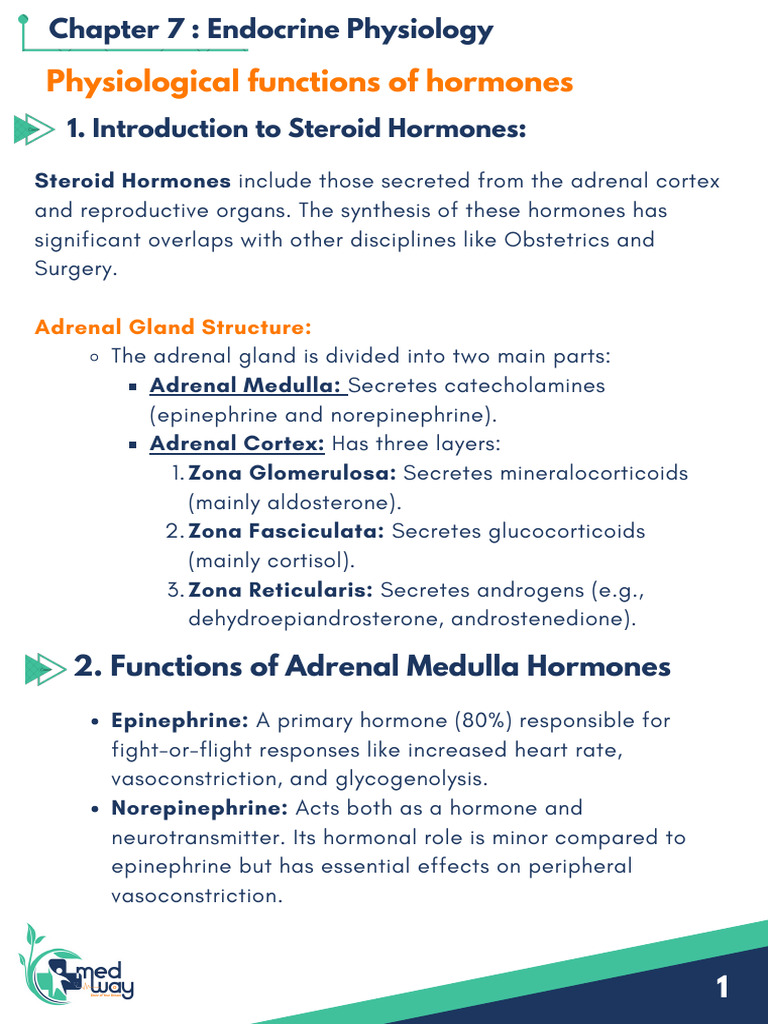 Physiological Functions of Hormones Notes 260318 143800 | PDF | Adrenal ...