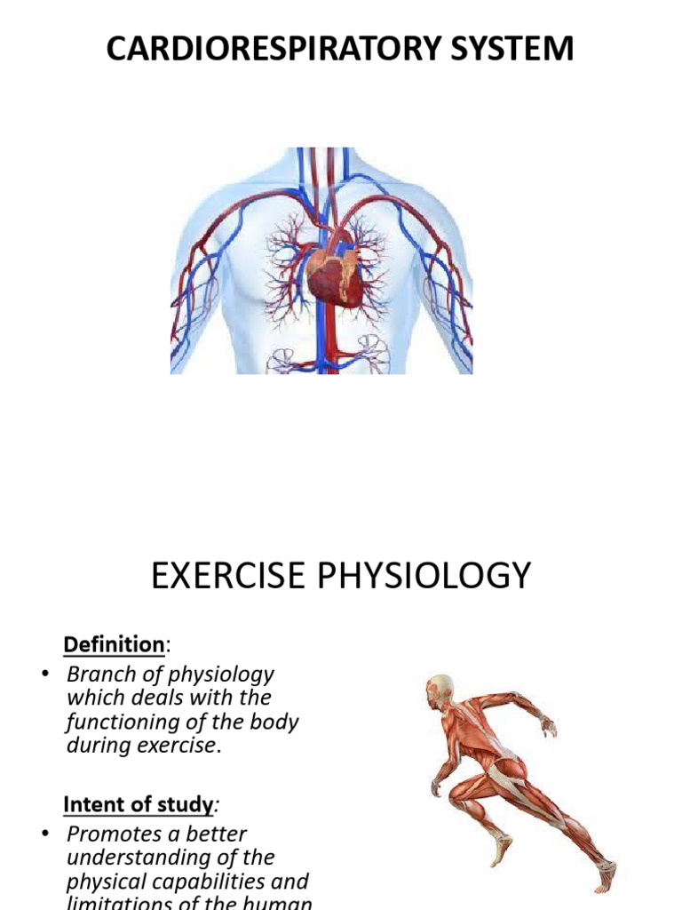 Cardiorespiratory System | PDF | Respiratory Tract | Heart
