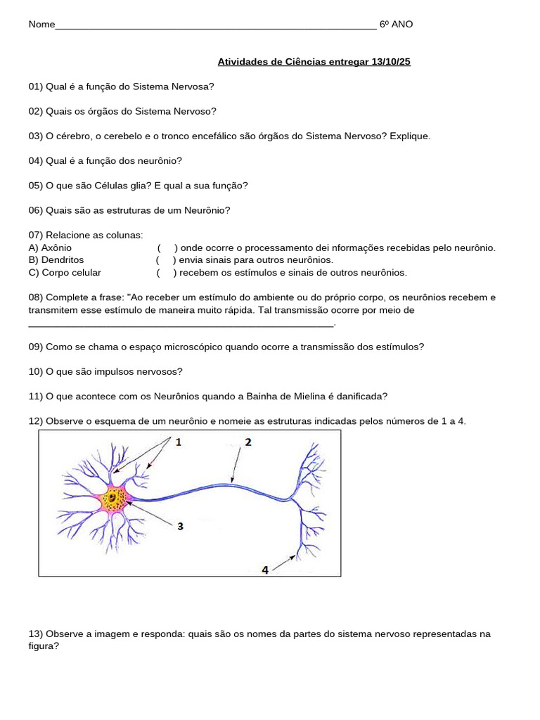 Atividade 6 Ano Sistema Nervoso | PDF