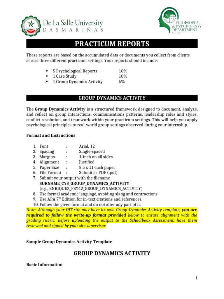 Group Dynamics Activity | PDF | Psychology | Theory