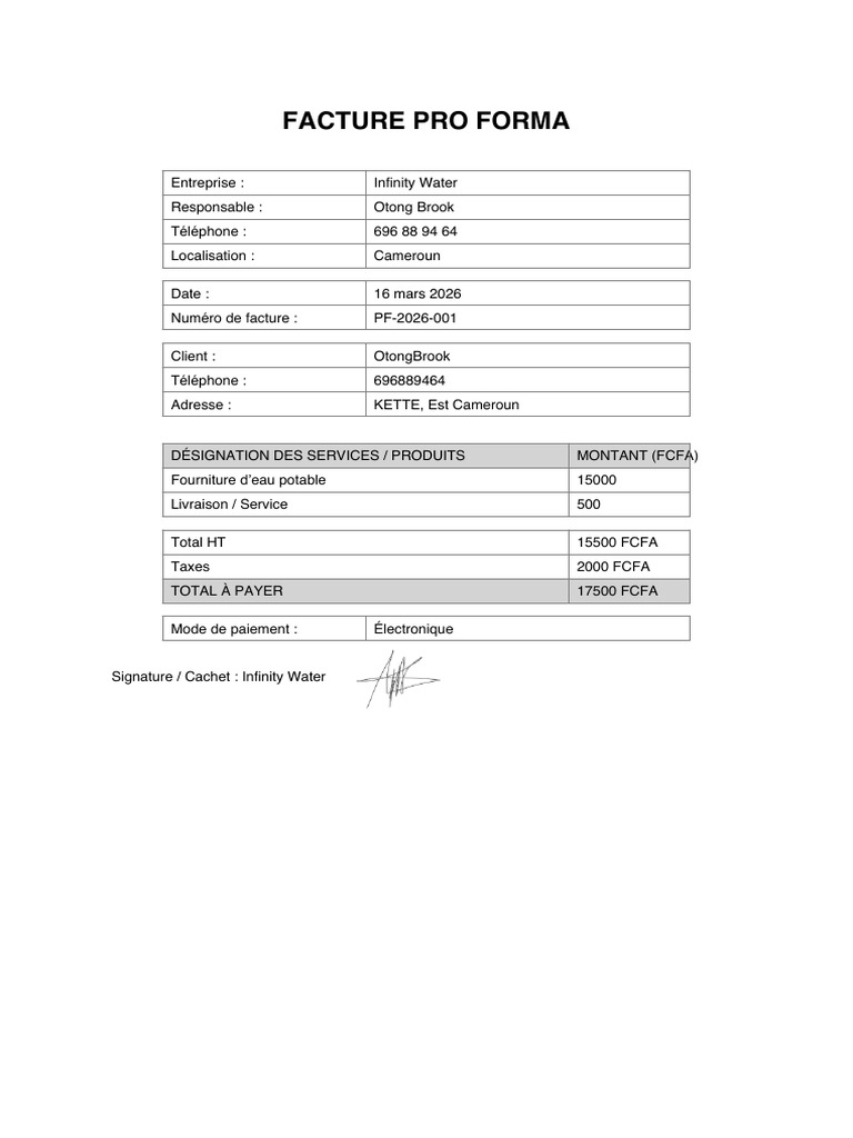 Facture Proforma Infinity Water | PDF
