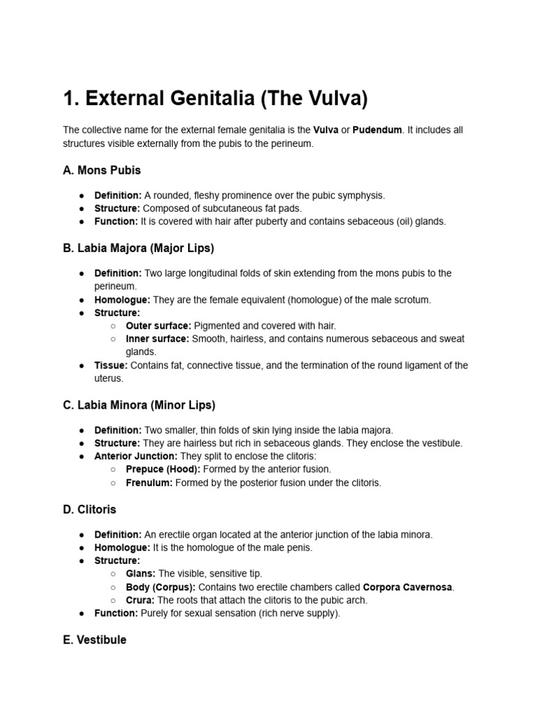 Anatomy of The Female Genital Tract | PDF | Vagina | Labia