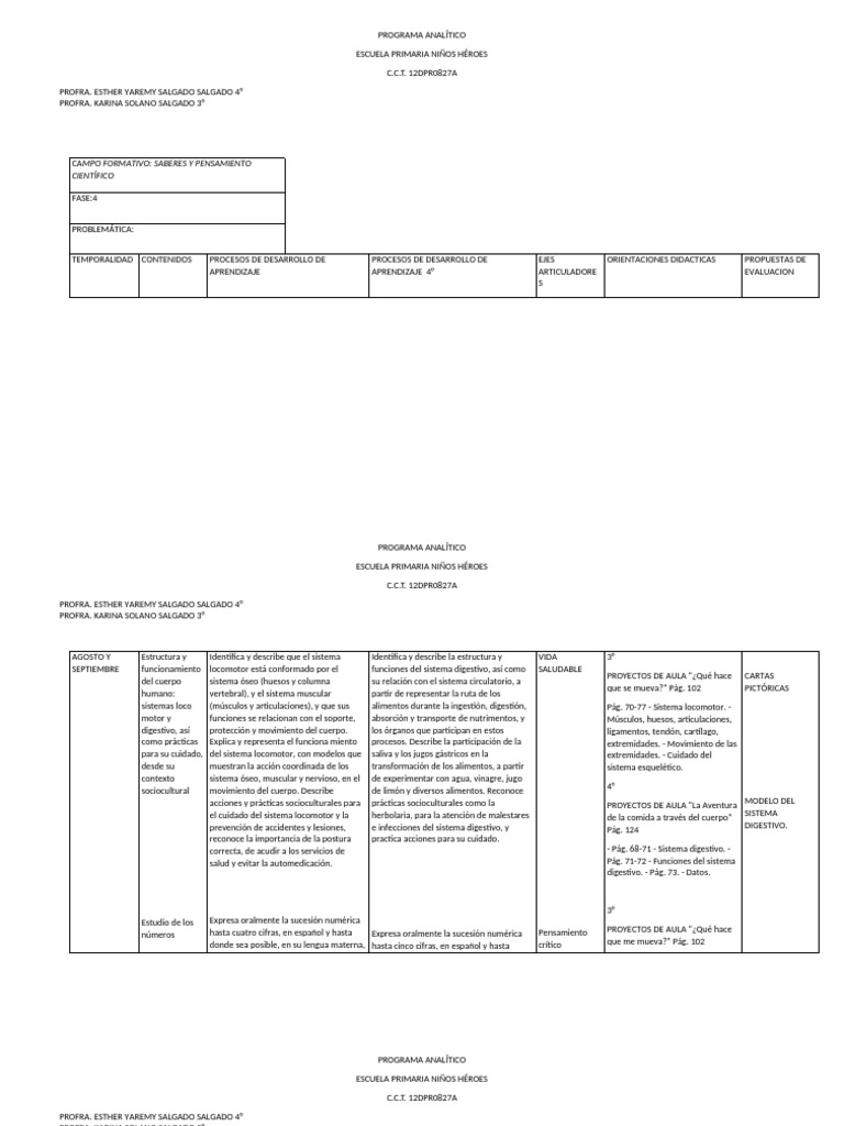 Plan Analitico Saberes y Pensamiento | PDF | Articulación | Hueso