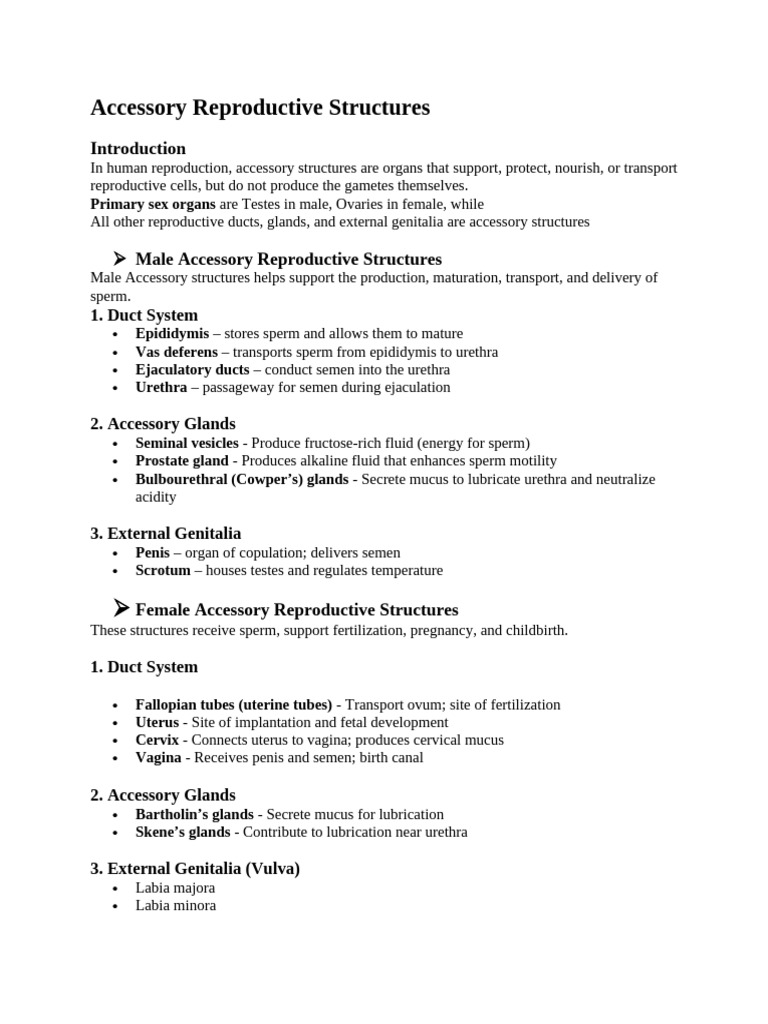 Accessory Structure of Reproduction | PDF