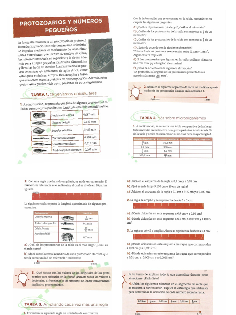 Libro Mate Secundario Frac Dec | PDF