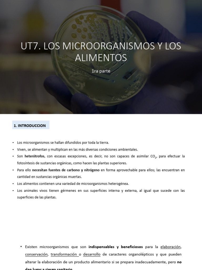 UT7. Los Microorganismos y Los Alimentos Parte 1 | PDF | Alimentos ...