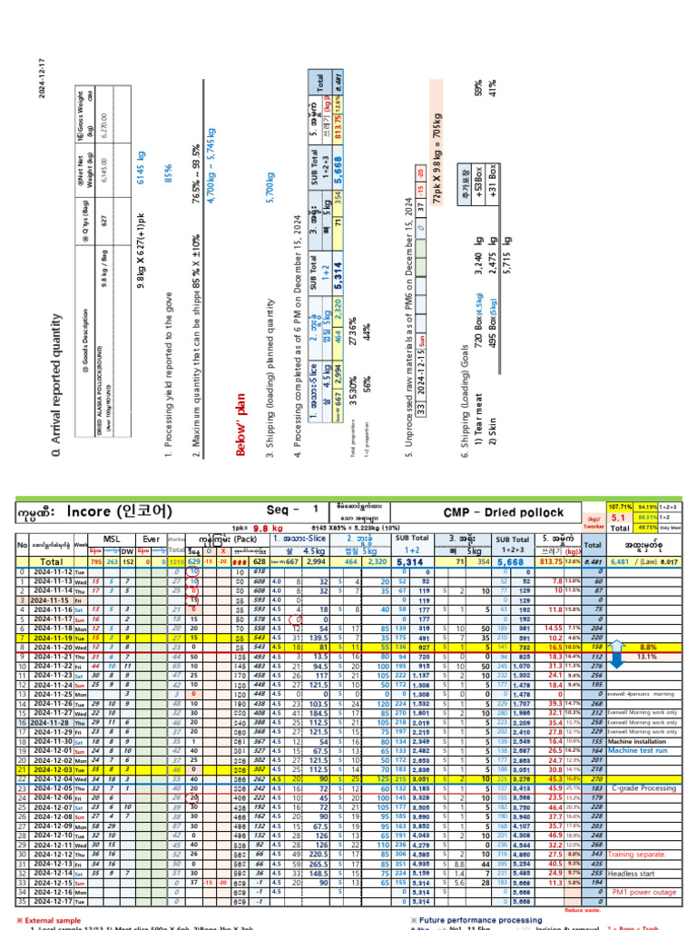 CMP Processing Report (2024!12!15) | PDF