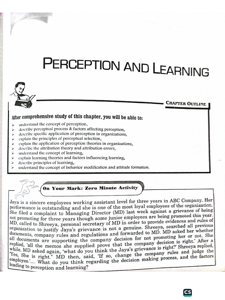 Perception and Learning | PDF