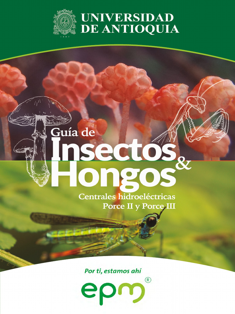 Guia Insectos Hongos Epm Digital | PDF | Escarabajo | Insectos