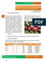 Boletín Técnico Poda de Duraznos