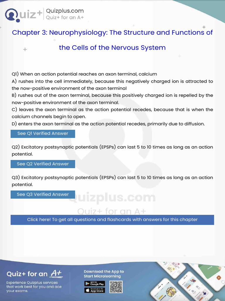 When An Action Potential Reaches An Axon Terminal Calcium | PDF | Sleep ...