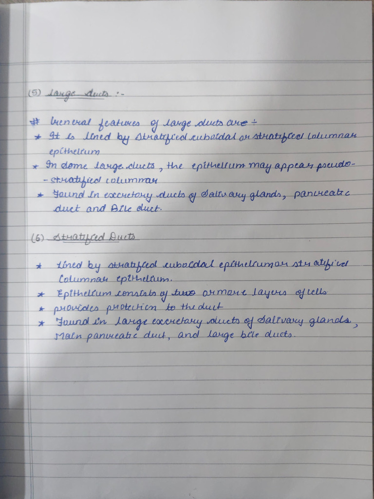 Histology Practical 2nd | PDF