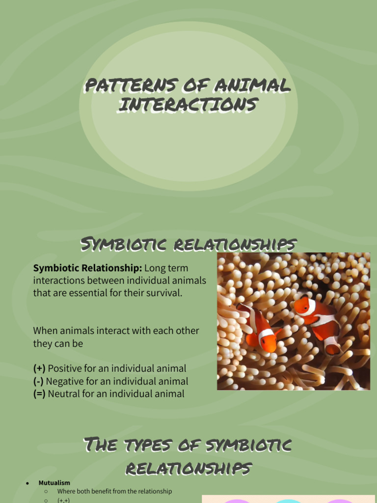 Patterns of Animal Interactions | PDF | Symbiosis | Parasitism