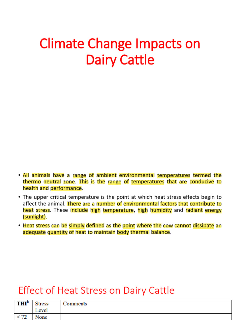 Climate Change Impacts On Dairy Cattle | PDF | Dairy Farming | Dairy Cattle
