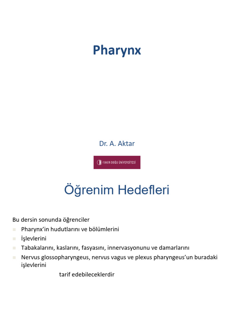 11) Pharynx - Dr. Aylin Aktar | PDF