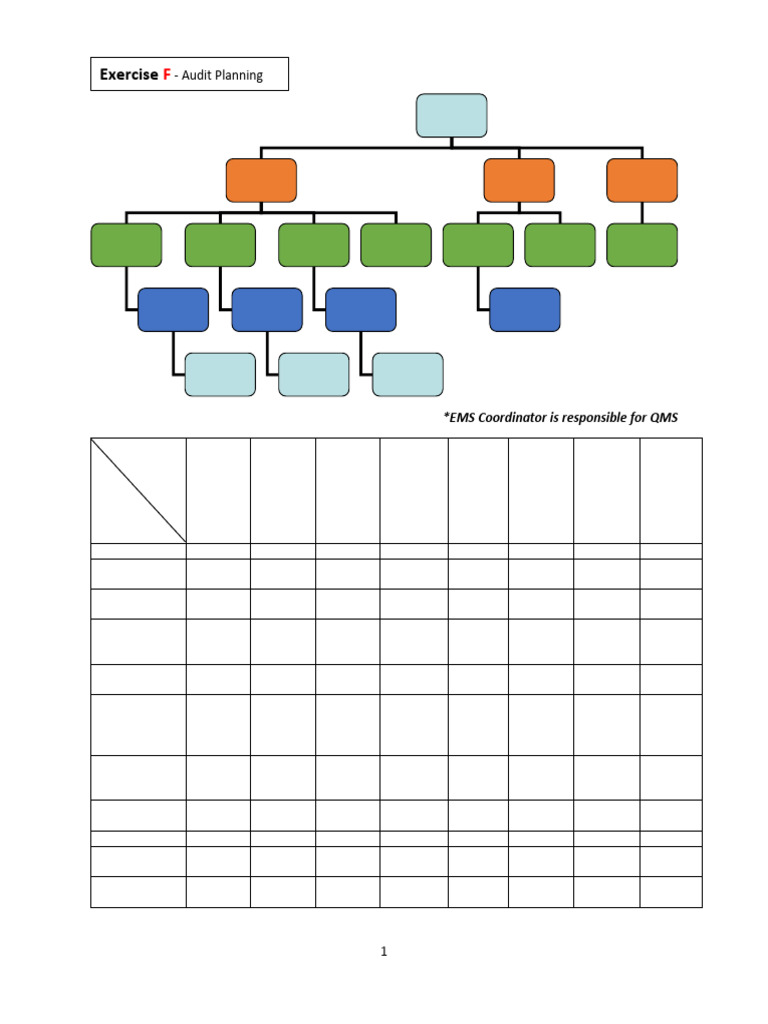Ex F Audit Planning | PDF