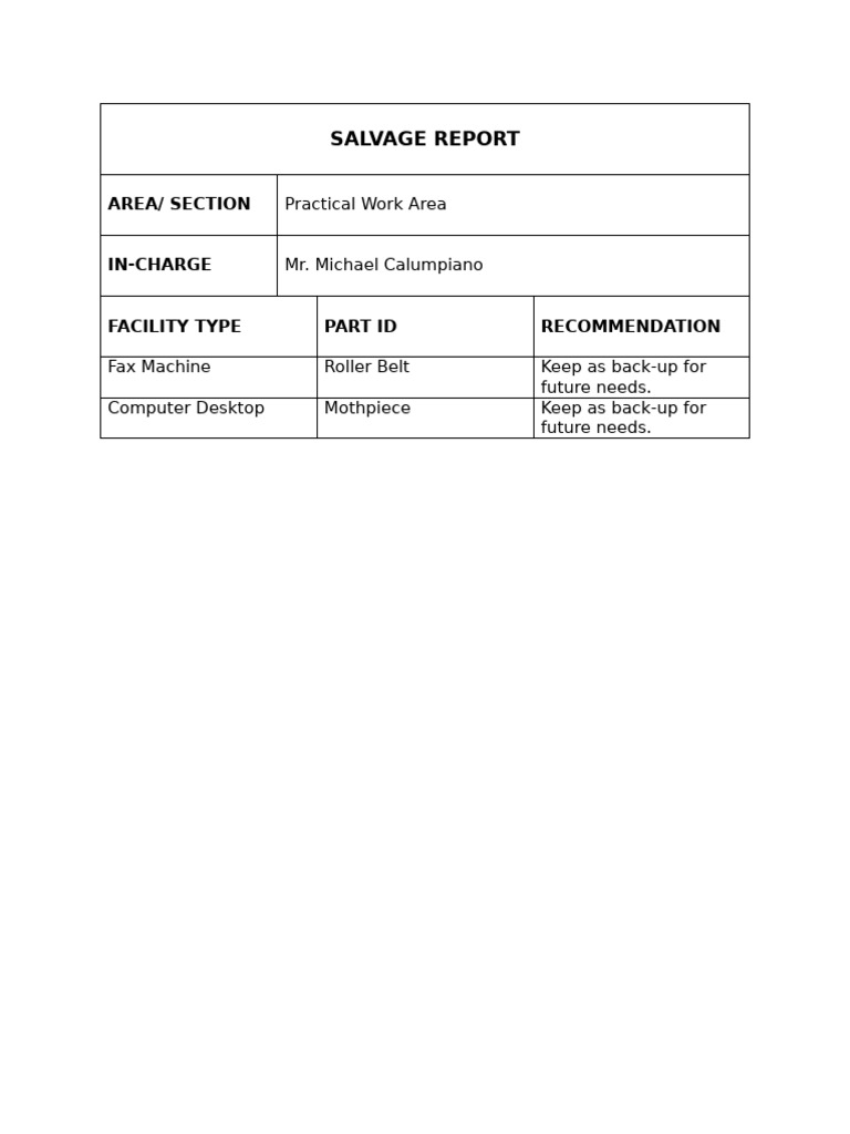 Template 12 Salvage Report | PDF