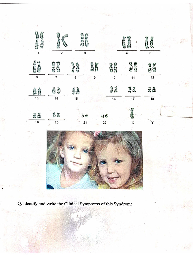 Genetics Chart With Answer | PDF