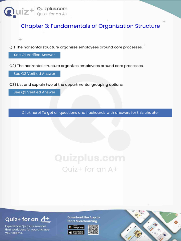 The Horizontal Structure Organizes Employees Around Core Processes | PDF