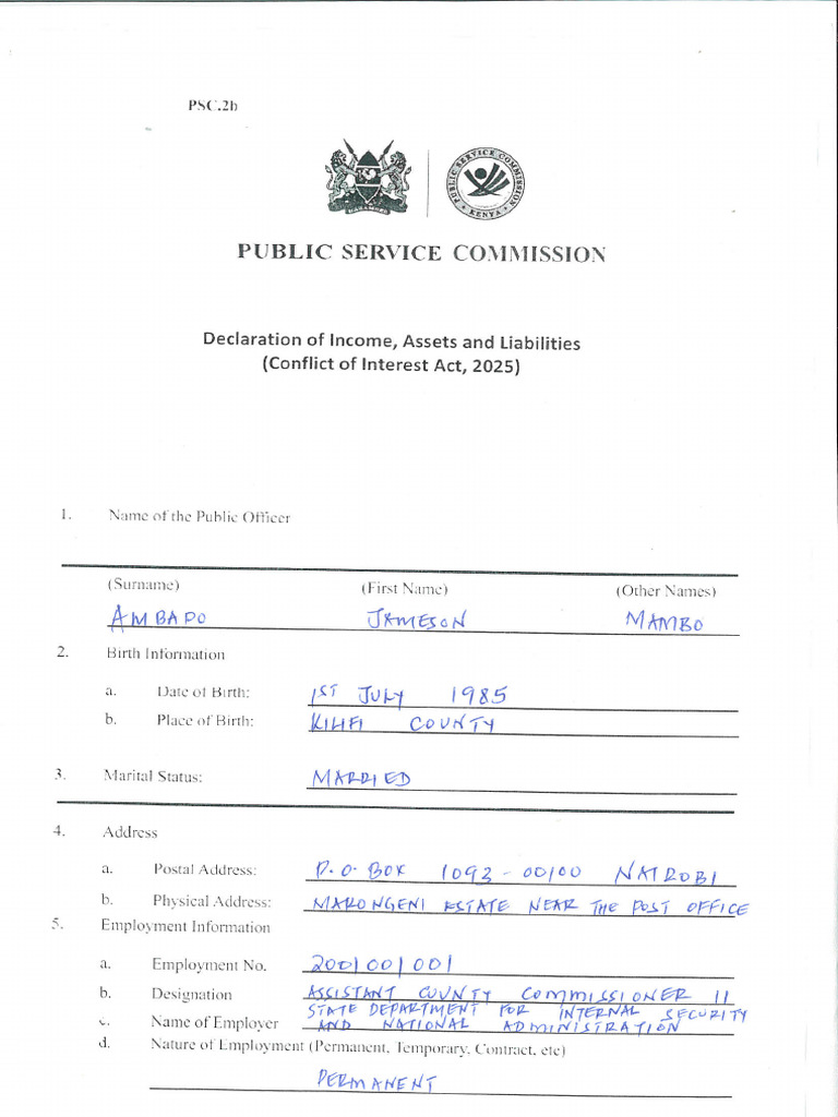 Wealth Declaration Sample 251124 153409 | PDF