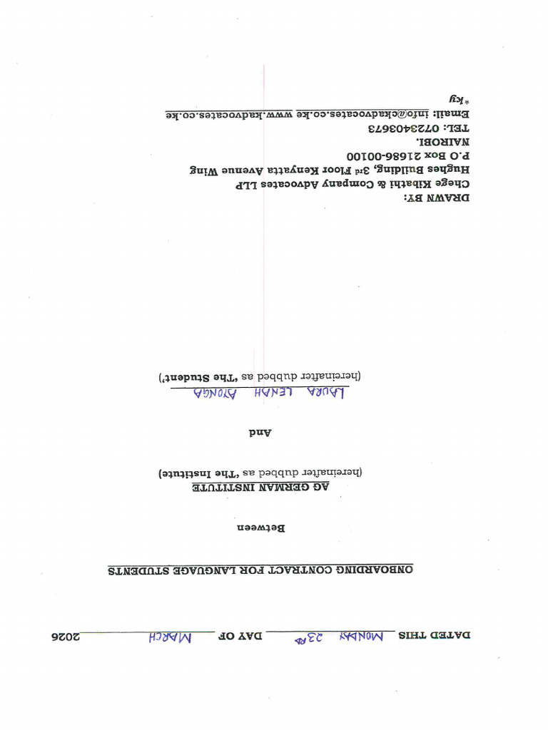 Bunch | PDF