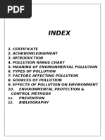 Environmental Issues Project Report | PDF | Natural Environment | Sound