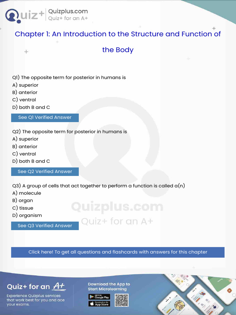 The Opposite Term For Posterior in Humans Is | PDF | Respiratory ...