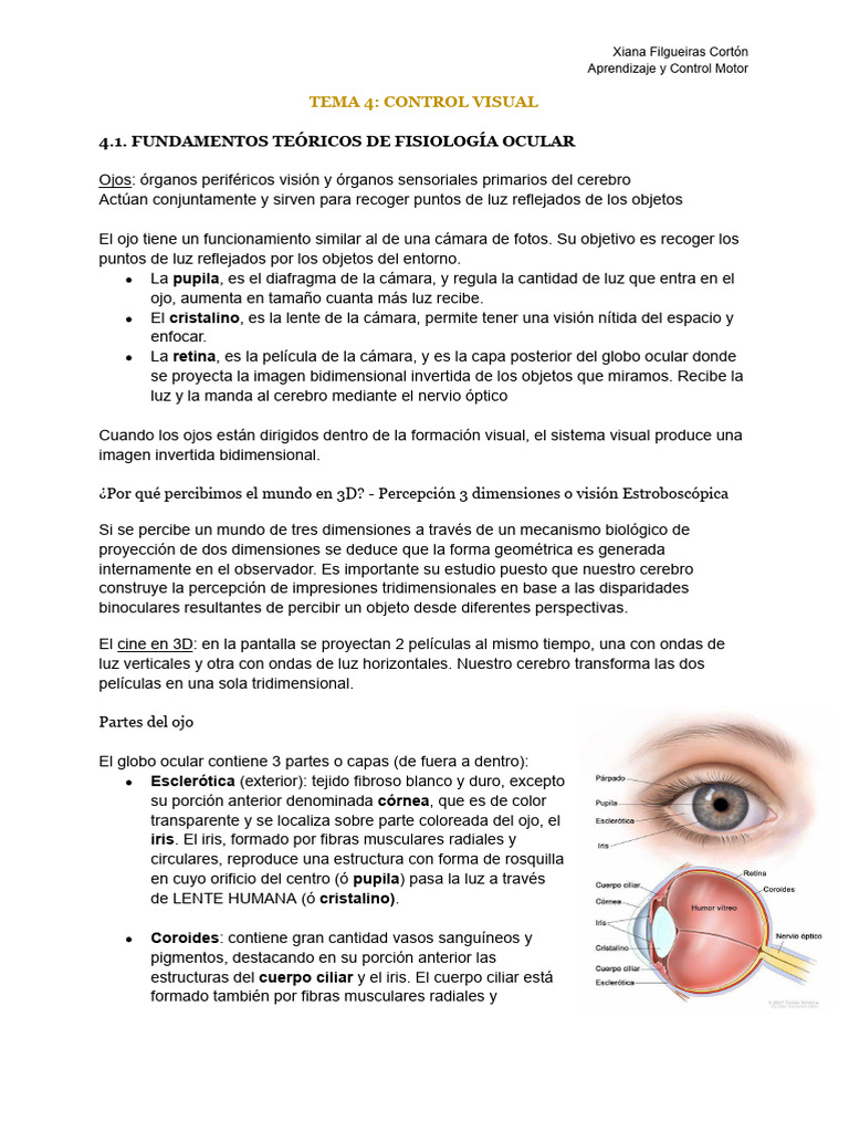 Tema 4 Control Visual | PDF | Percepción visual | Ojo