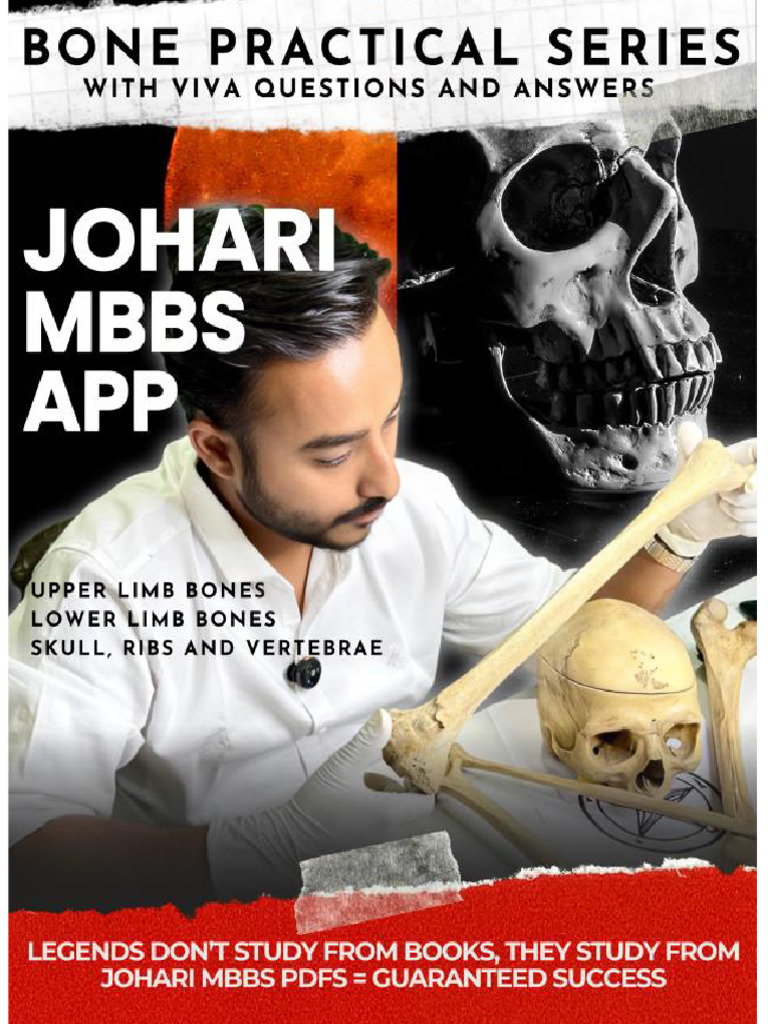 Identification of Bones | PDF