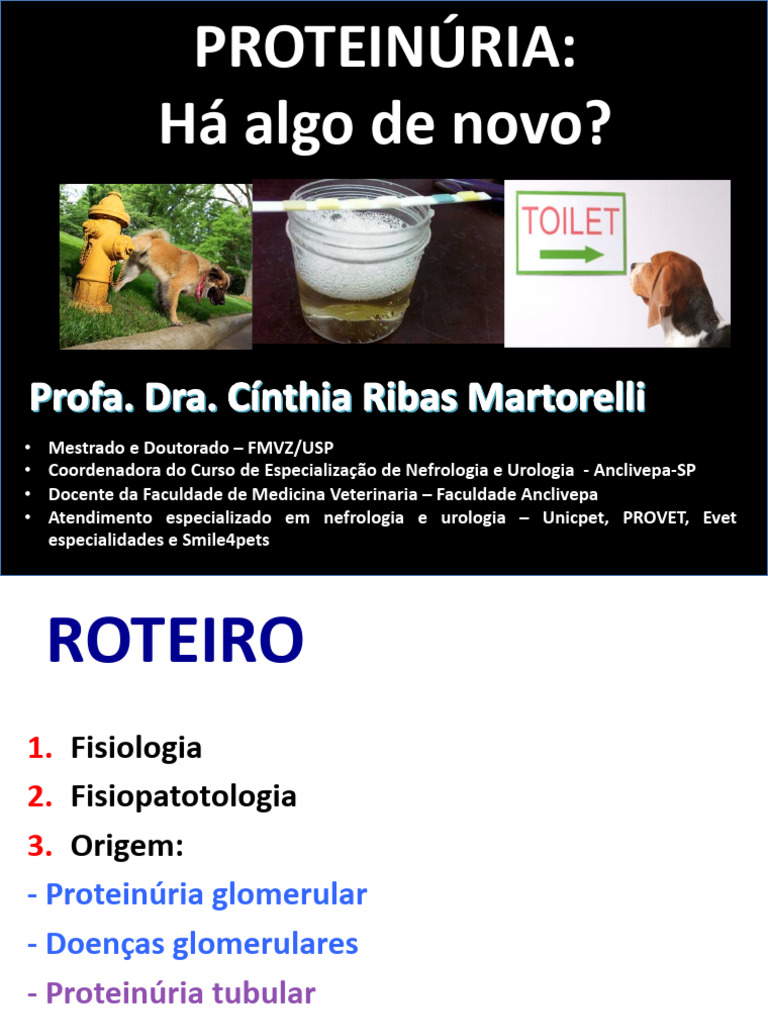 Proteinuria - Intensivo Nefro 2018 | PDF | Sistema urinário ...