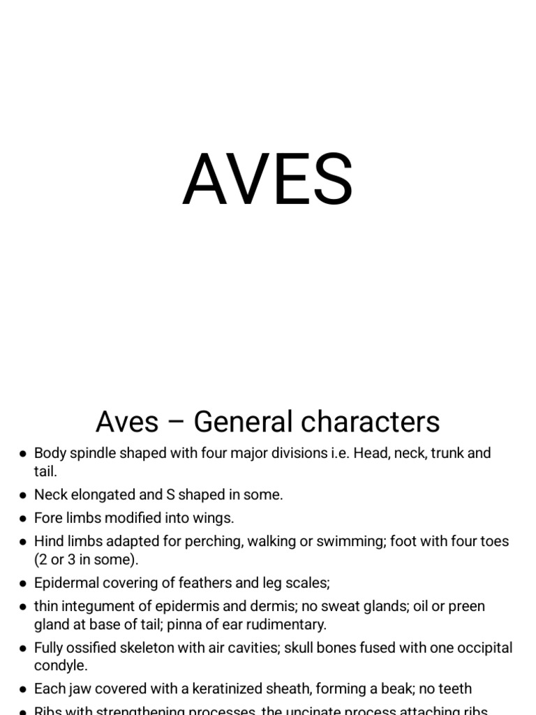 Aves | PDF