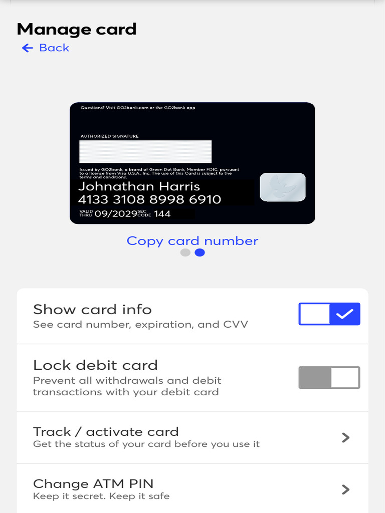 Checking Account GO2bank | PDF