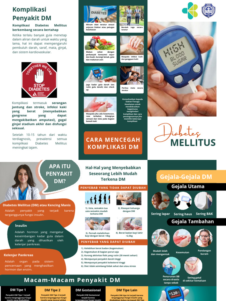 Leaflet DM | PDF
