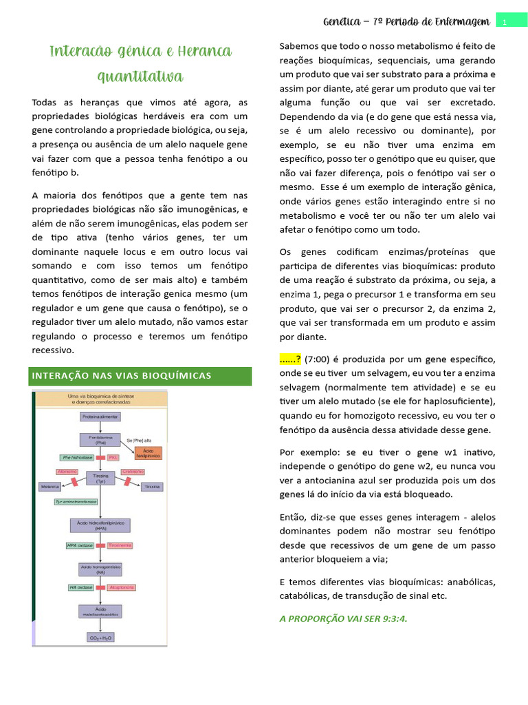6, Interação Genica e Herança Quantitativa | PDF