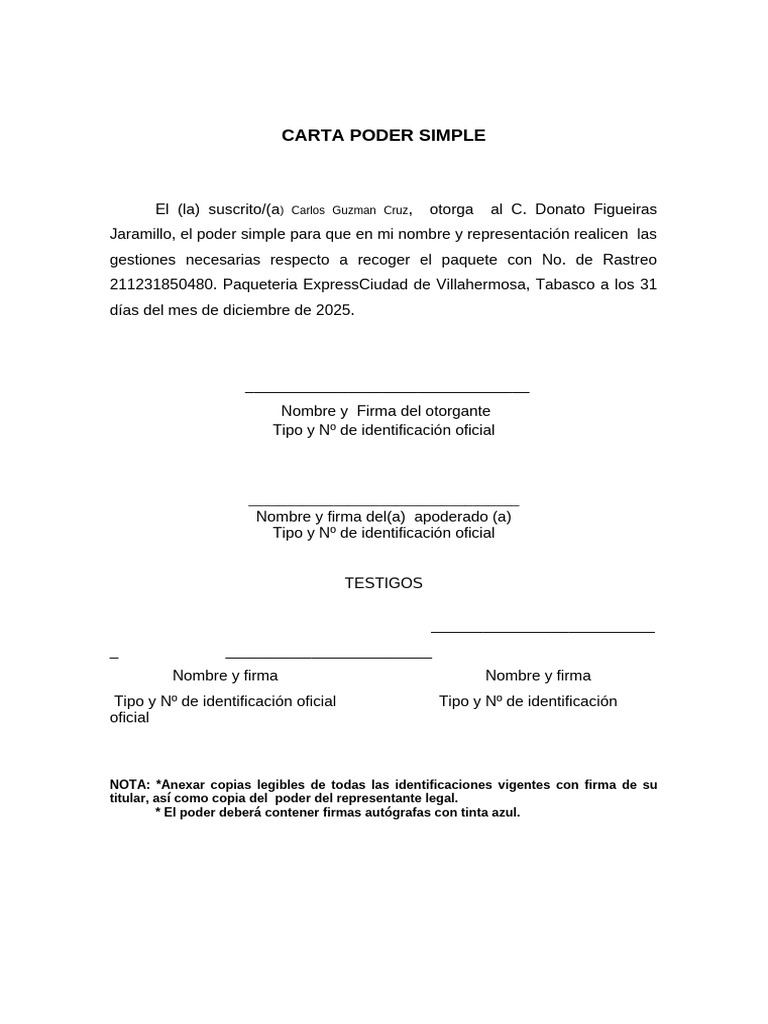 Formato Poder Simple | PDF