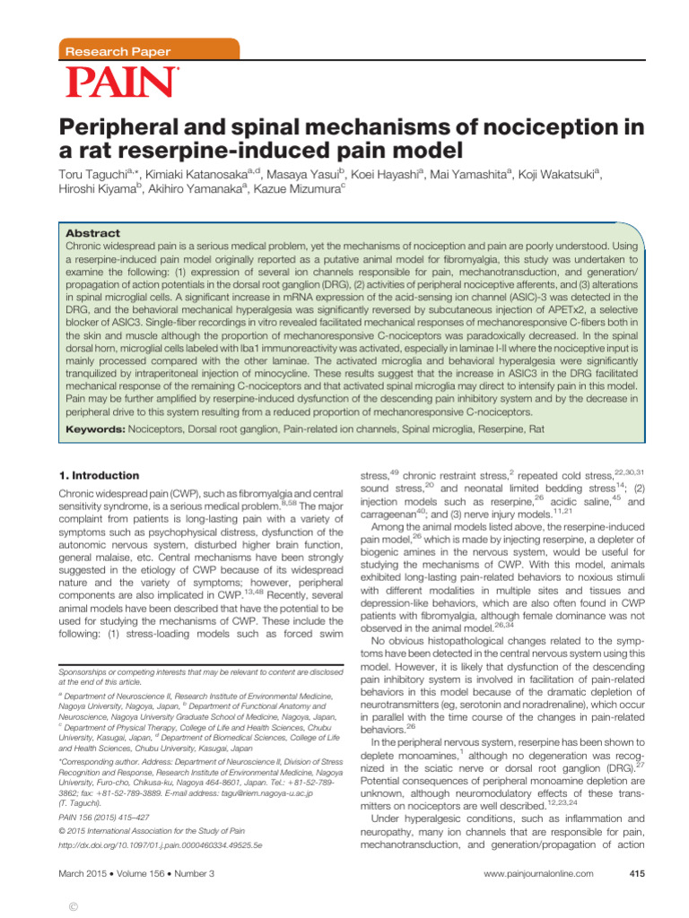 Peripheral and Spinal Mechanism in RIM | PDF