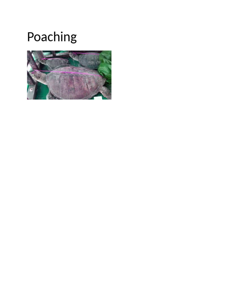 Poaching | PDF