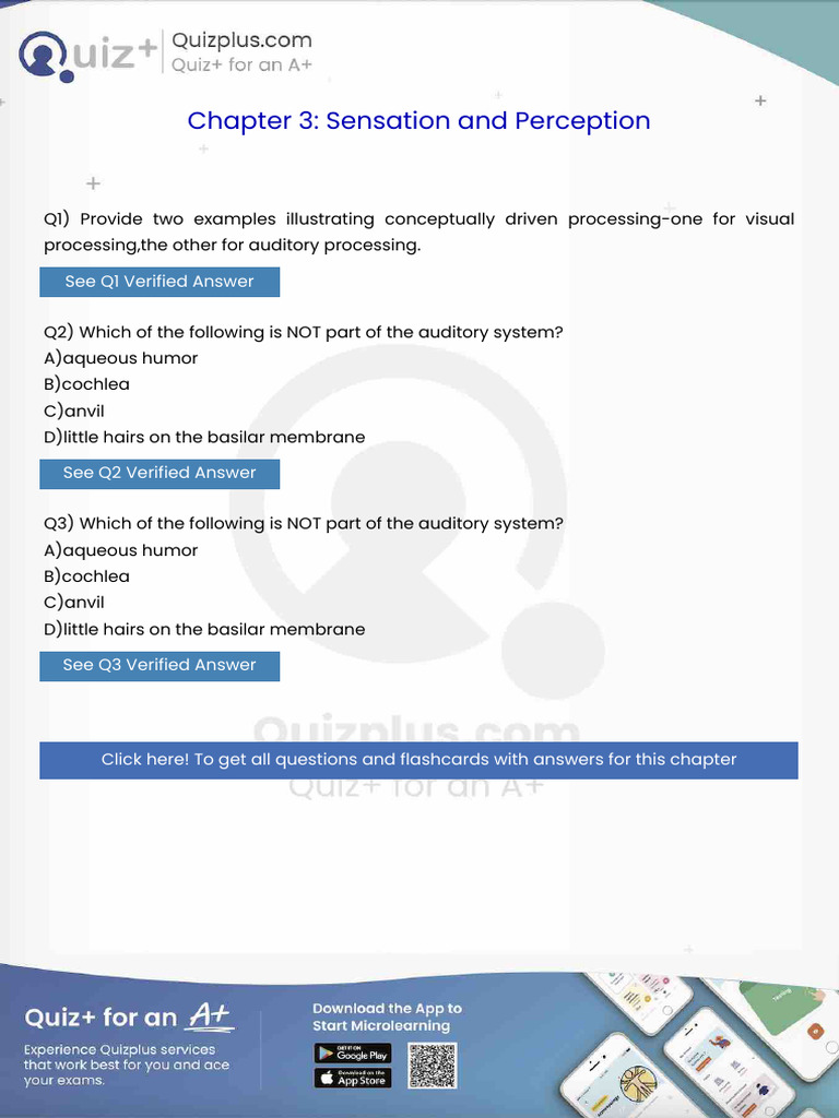 Provide Two Examples Illustrating Conceptually Driven Processingone For ...