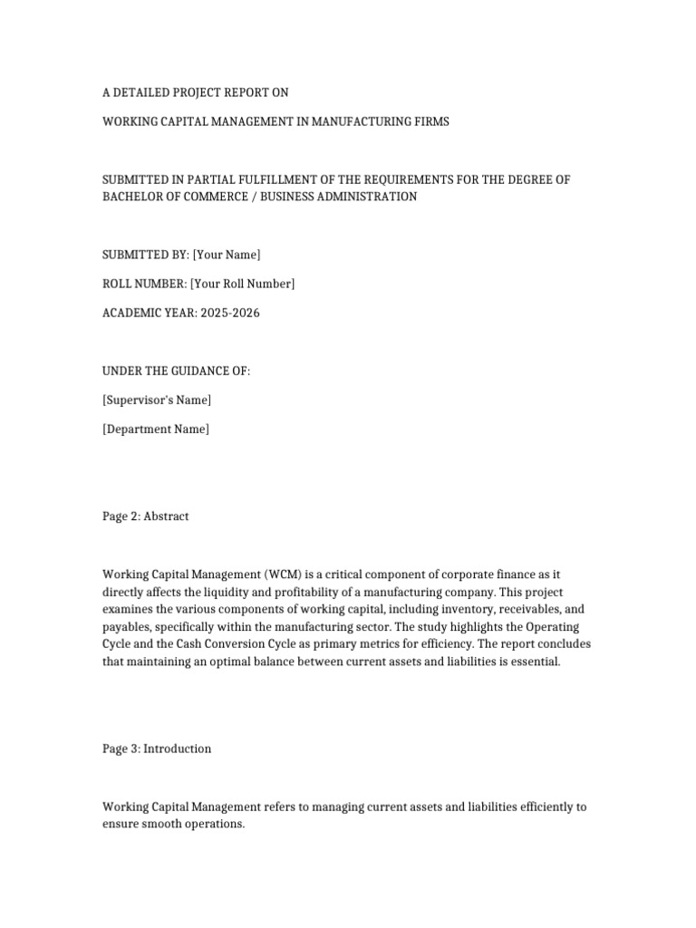 Working Capital Project | PDF