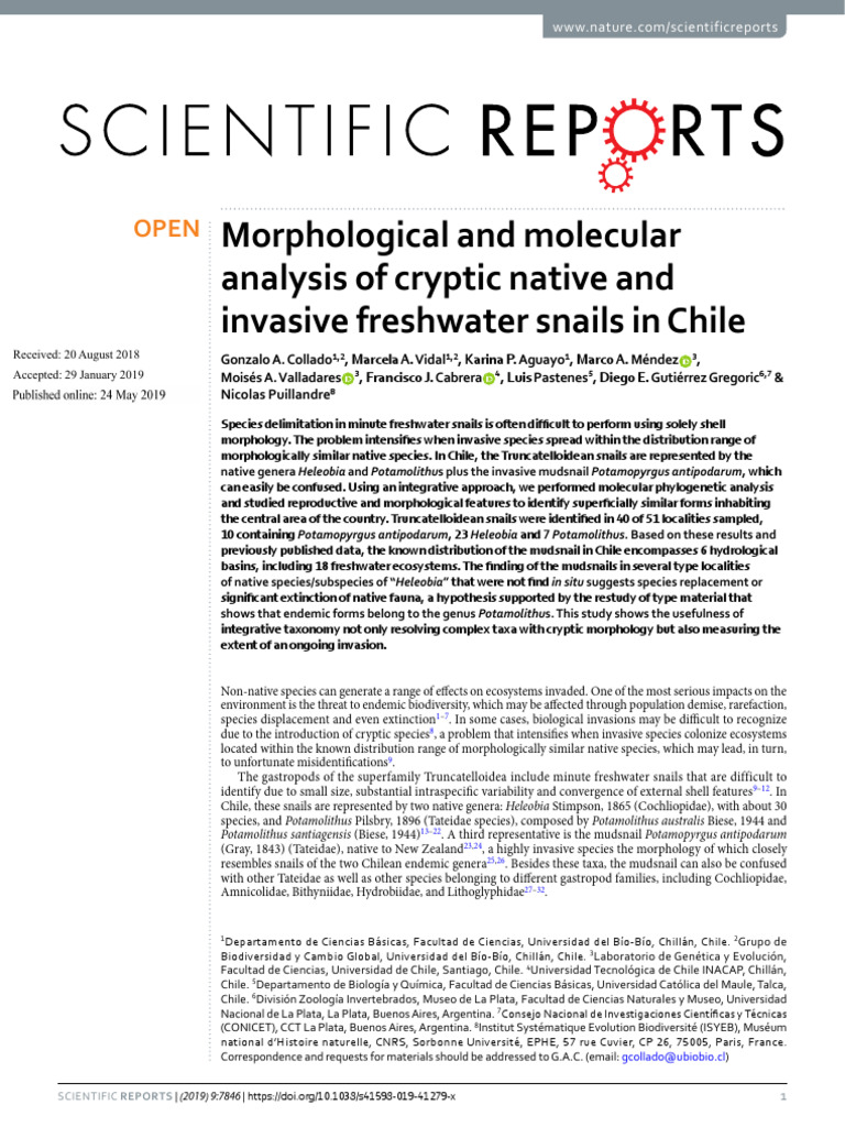Collado Et Al 2019 Crytic Species SC Rep | PDF