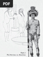 Arte rupestre na Amazonia_um patrimonio ameaçado