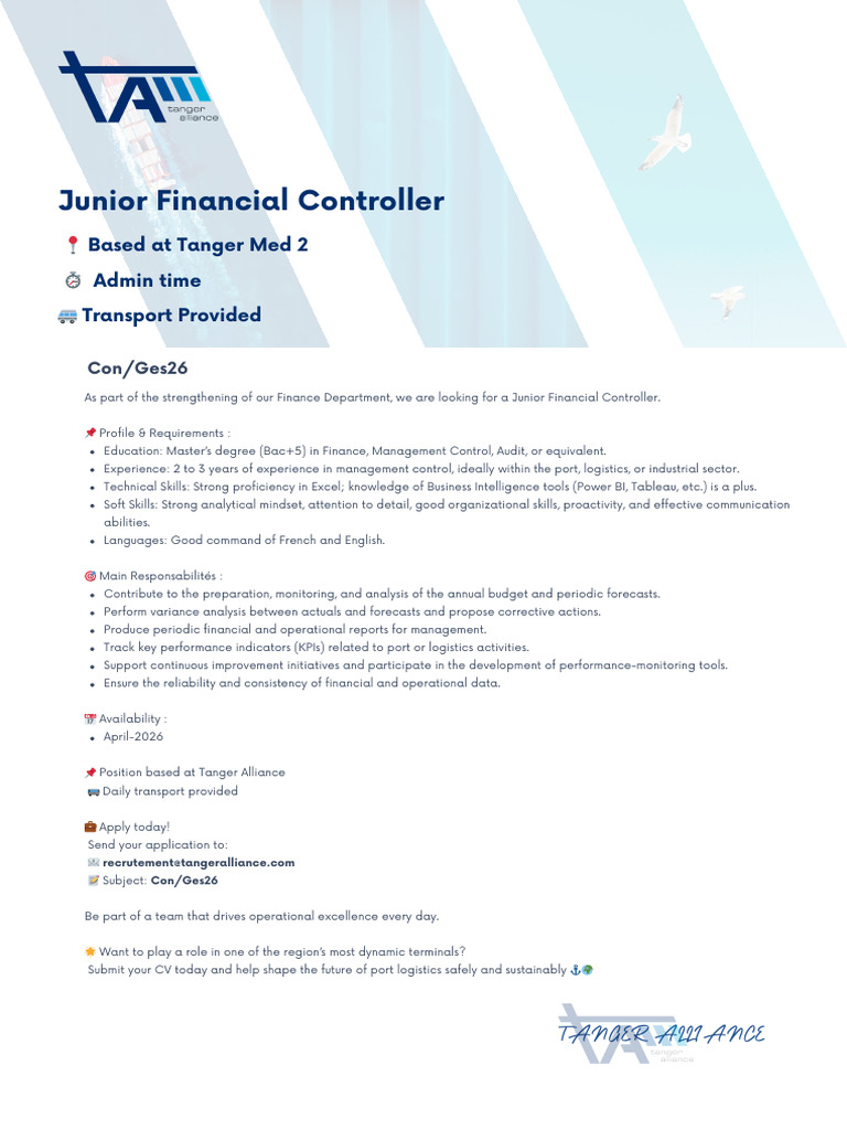 Junior Financial Controller | PDF